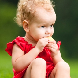 E se Sansa fosse rainha dos sete reinos? Era uma possibilidade no primeiro guião de “A Guerra dos Tronos”