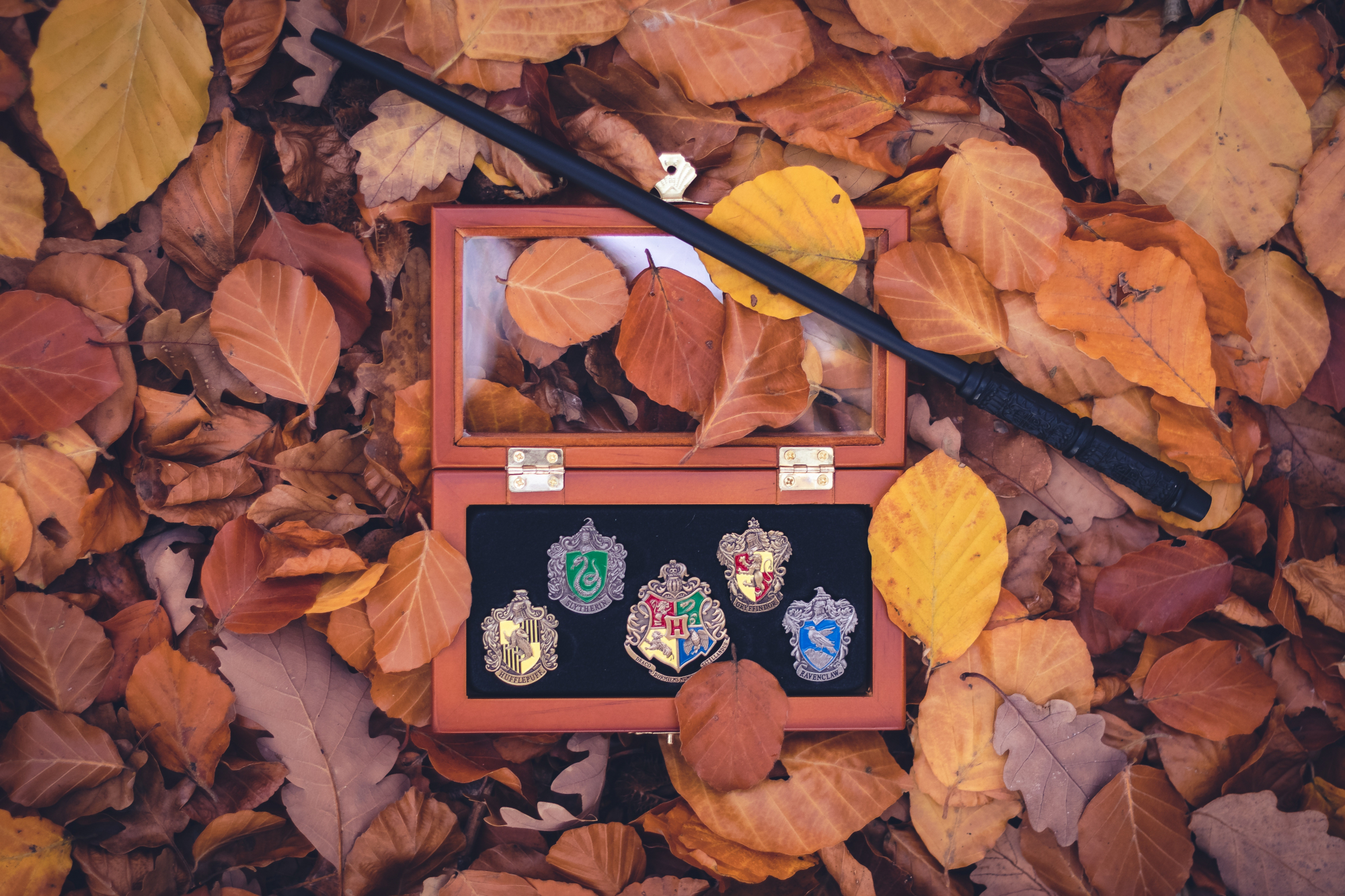 A Vans vai lançar uma coleção inspirada em Harry Potter