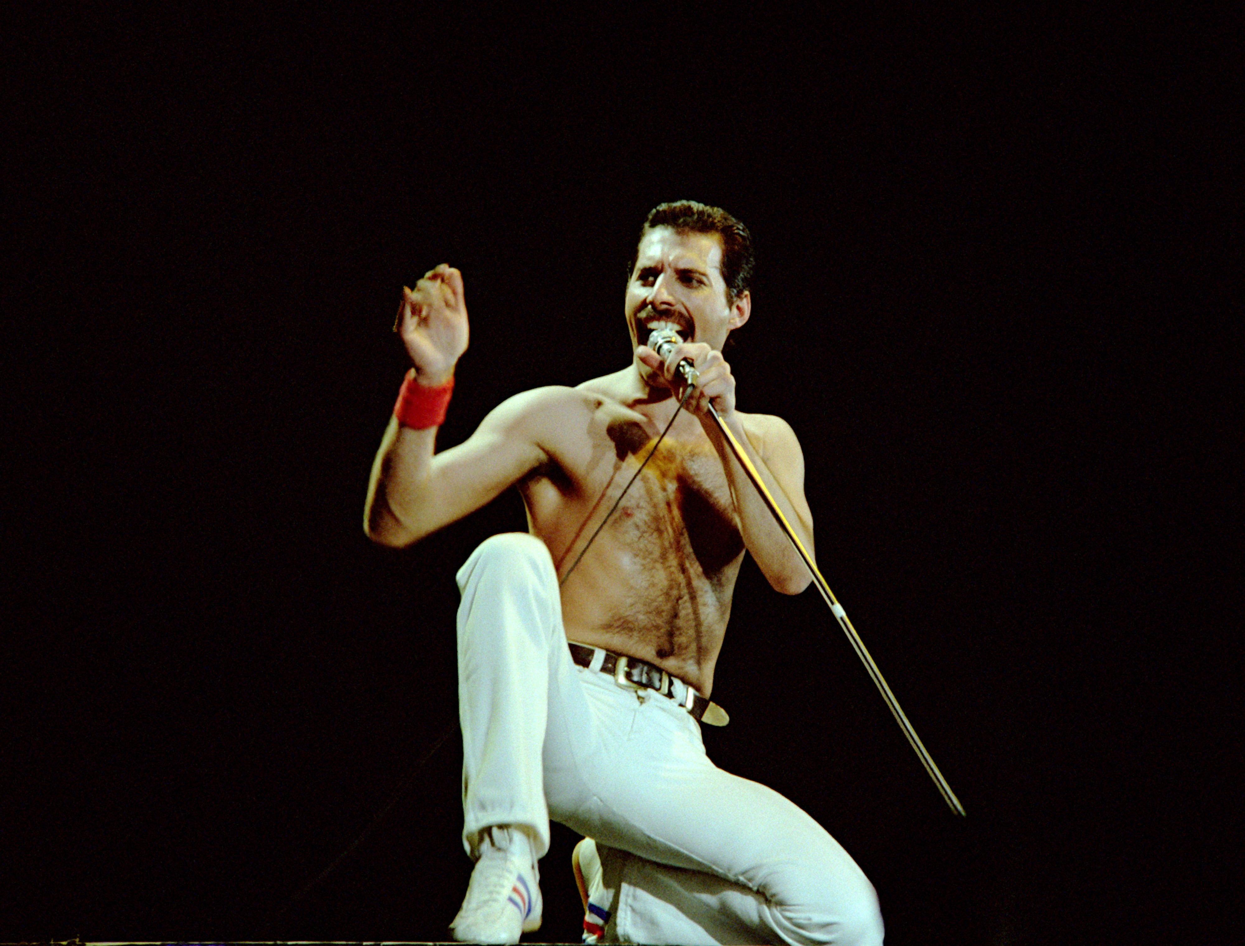 Mulher que alegava ser a filha secreta de Freddie Mercury morre aos 48 anos. Saiba tudo