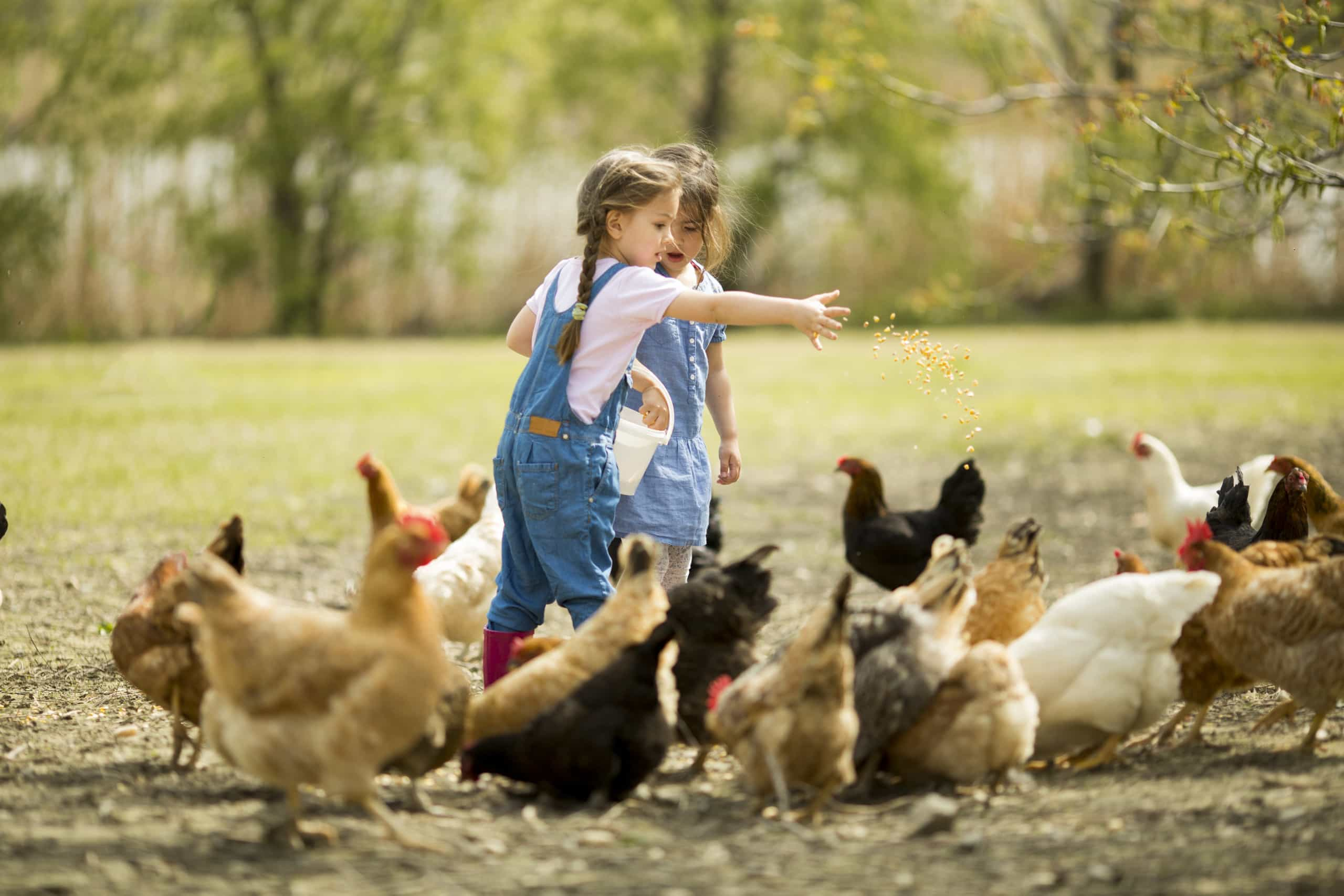 Pictures Of Farm Girls