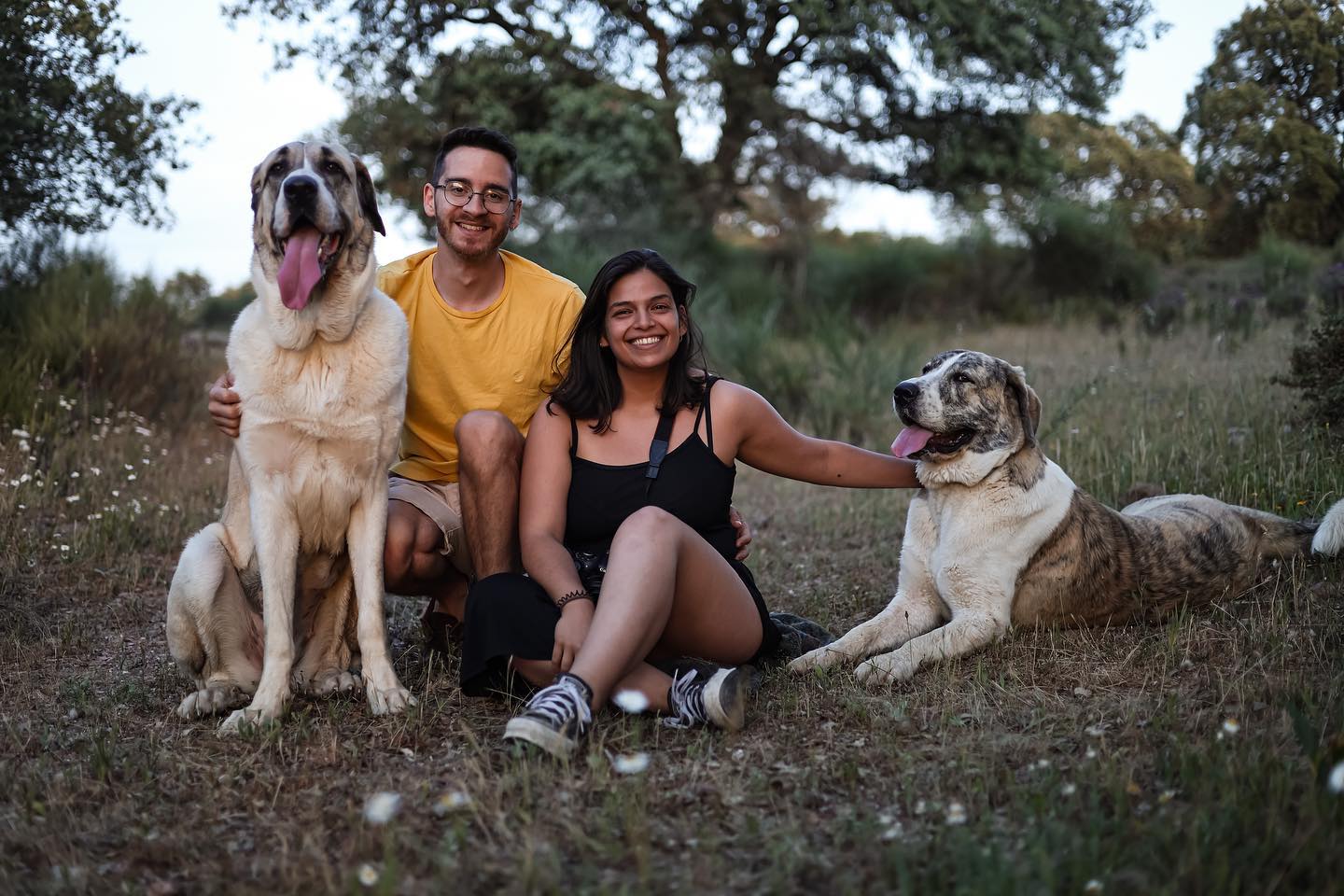 Francisco Paupério e namorada vão ser família de acolhimento de “criança que precise”. Perceba o que isso é