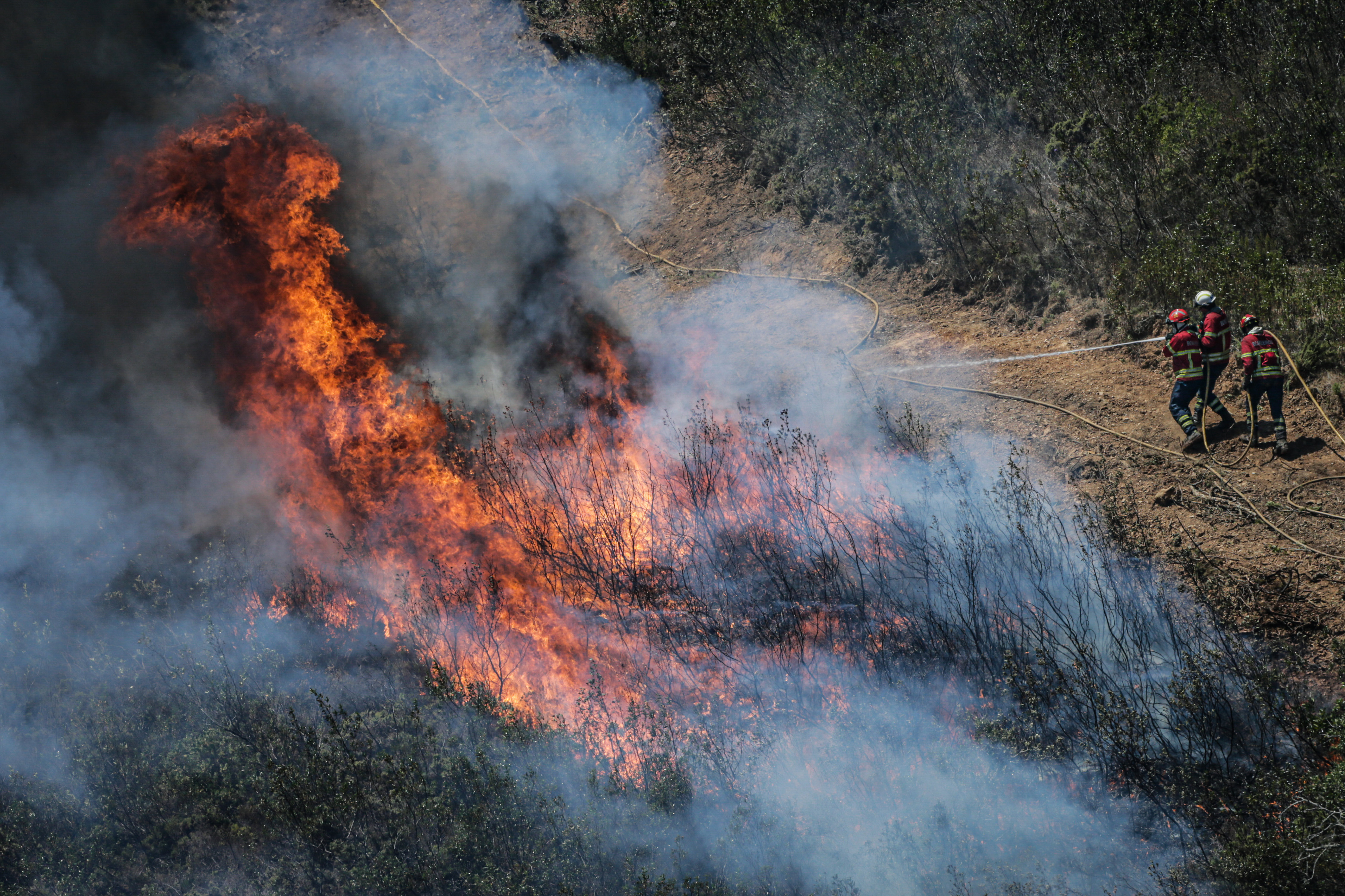 Incêndio destrói sete armazéns em Paredes