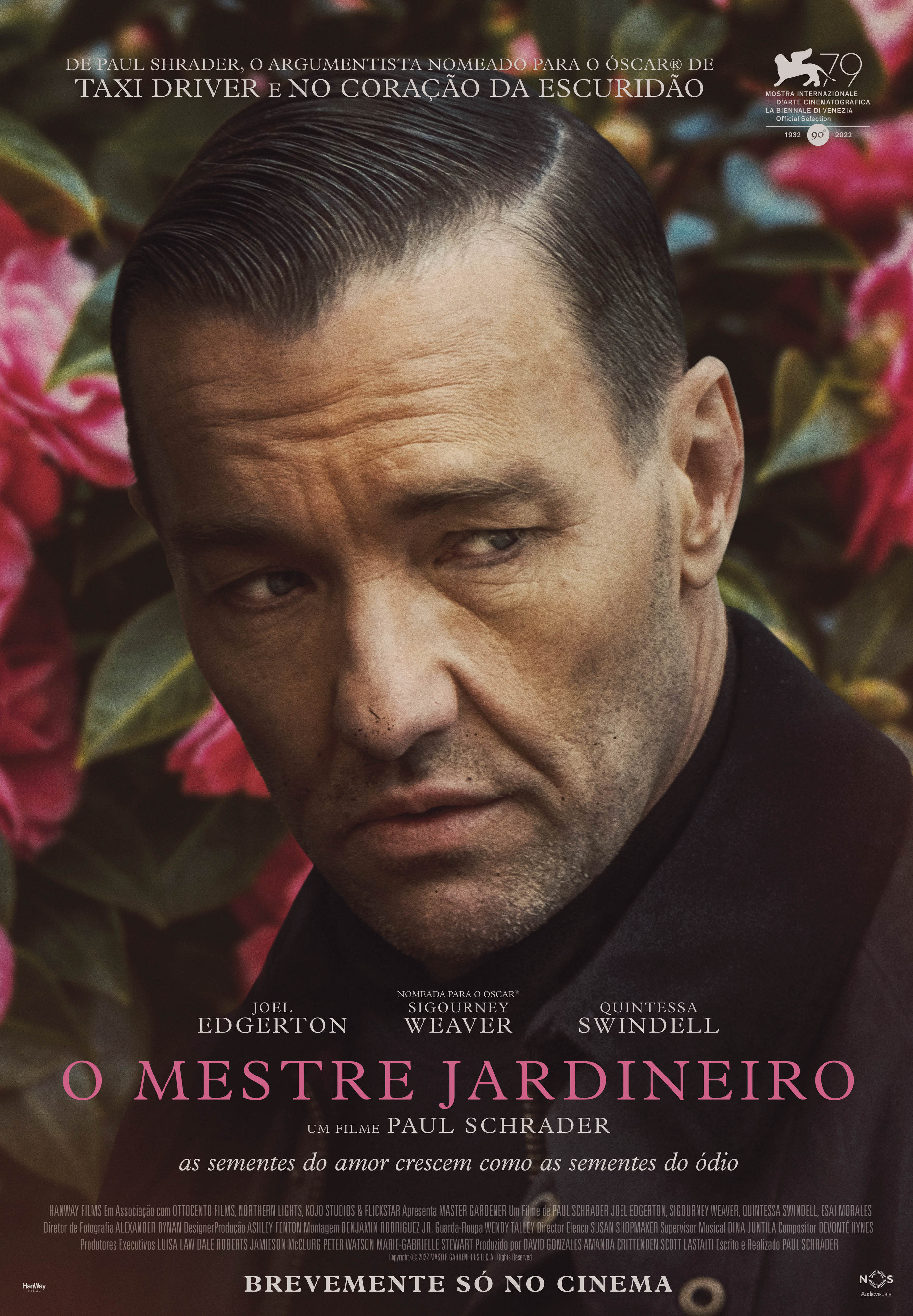 O Grande Mestre filme - Veja onde assistir