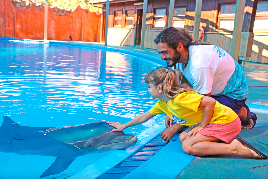 O verão dos miúdos é no Zoomarine. O parque vai ter campos de férias (até com aulas de surf)