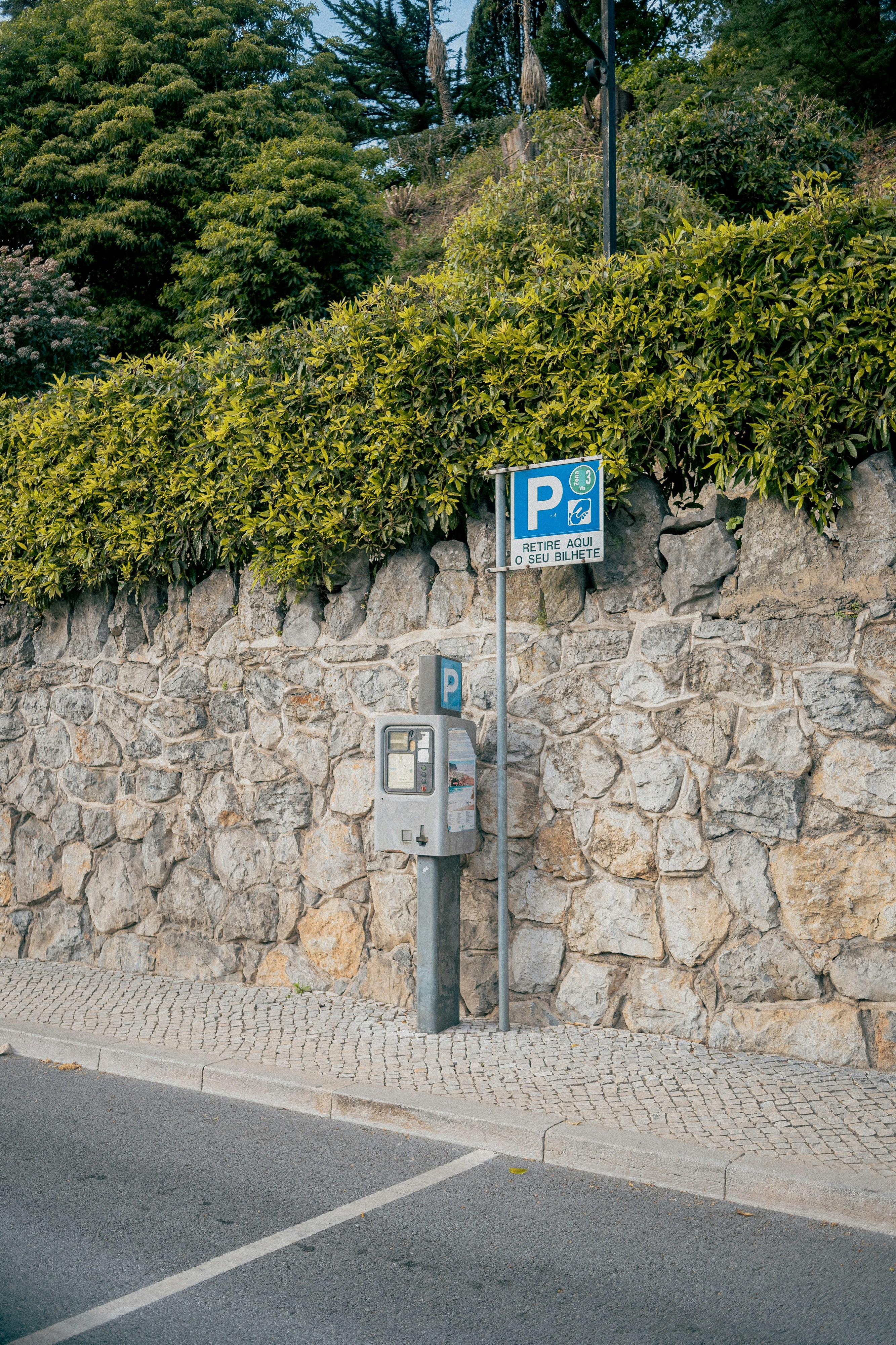 Carrinhas queimadas, parquímetros e radares destruídos. Saiba tudo sobre o esquadrão que declarou guerra à EMEL