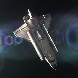 14 plantas mesmo giras para decorar a sua casa