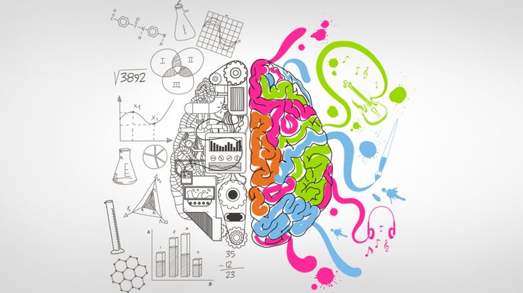 Concurso de Provas de Aptidão Profissional tem candidaturas abertas até final de maio