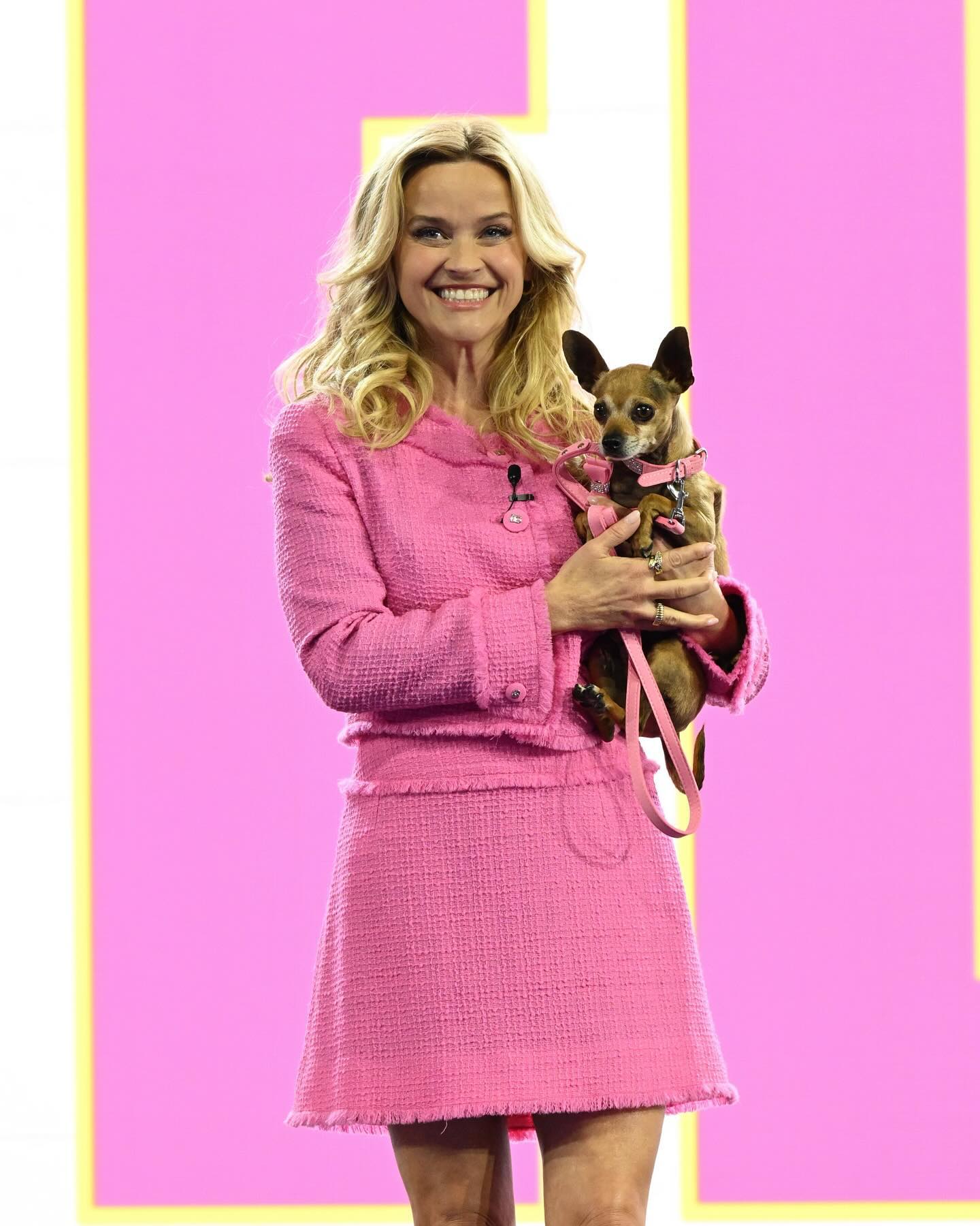 A advogada mais glamorosa está de volta. “Legalmente Loira” vai ter uma prequela (e em formato de série)