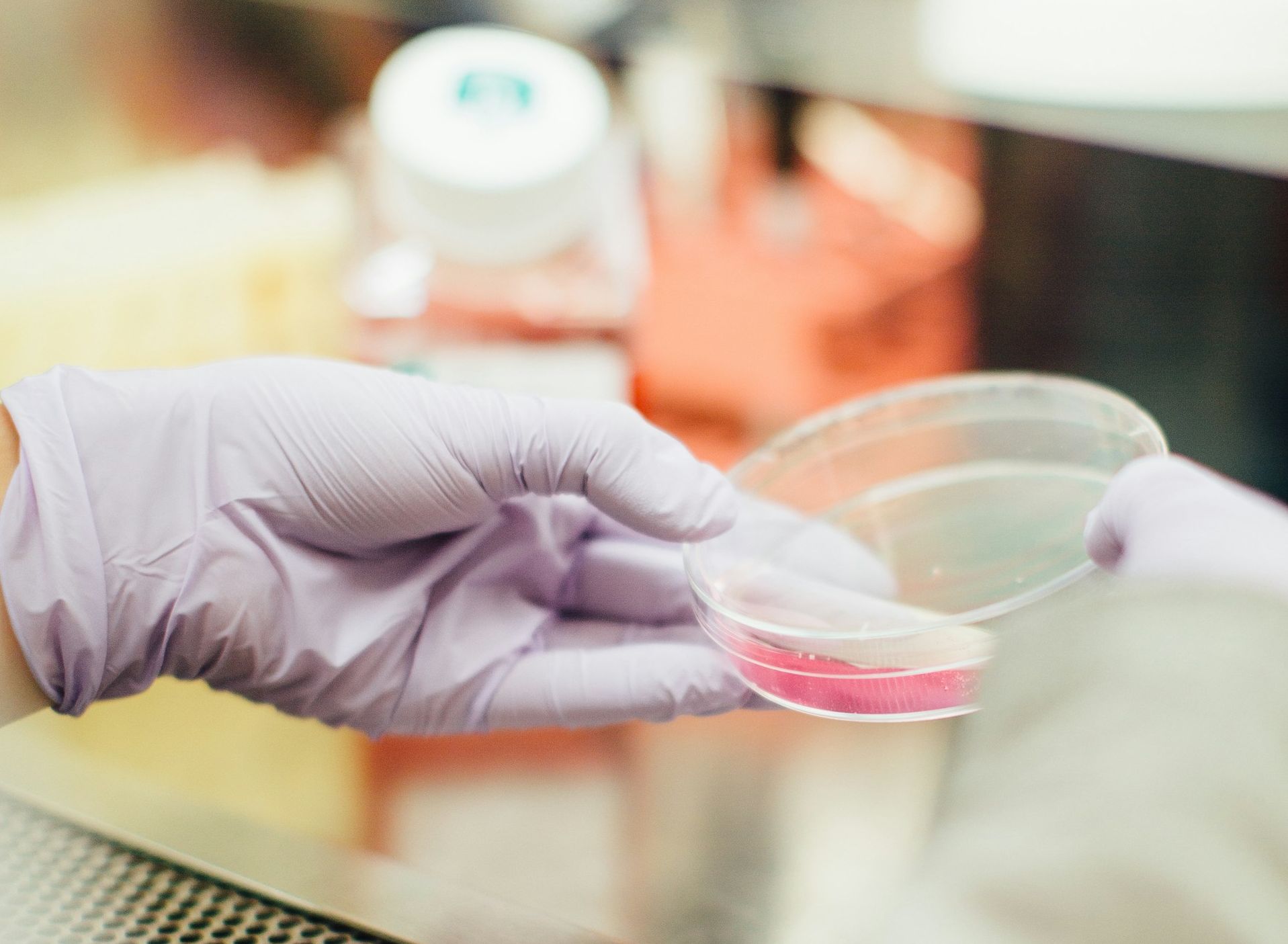 Financiamento de milhões chega a três projetos de investigação liderados por portugueses