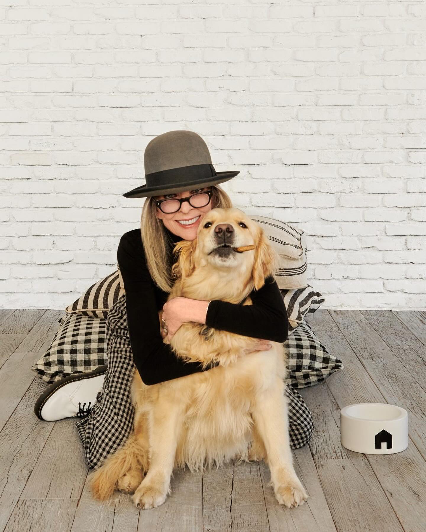 Diane Keaton terá deixado fortuna de 5 milhões à cadela. Sabe quem são os animais mais ricos do mundo?