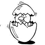 Saia Midi. O comprimento que a faz mais elegante