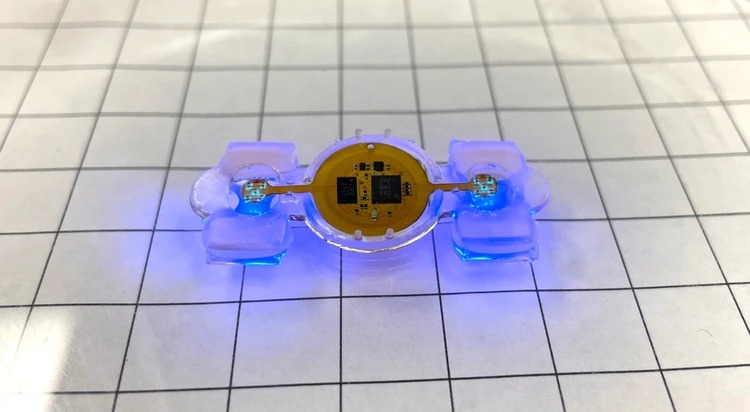 eBiobots são pequenos, mas “velozes” e usam células cultivadas em laboratório. Veja o vídeo