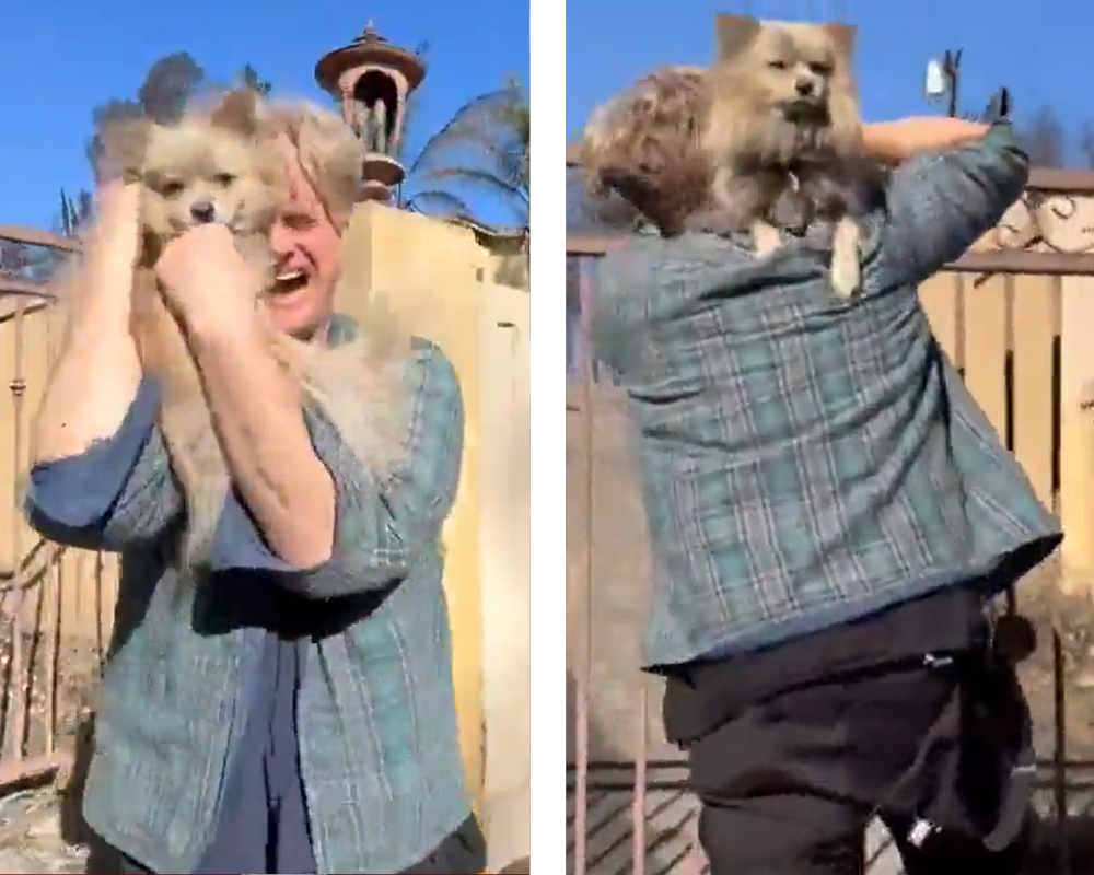 Dono reencontra cão que sobreviveu aos incêndios em Los Angeles. Veja o emocionante reencontro