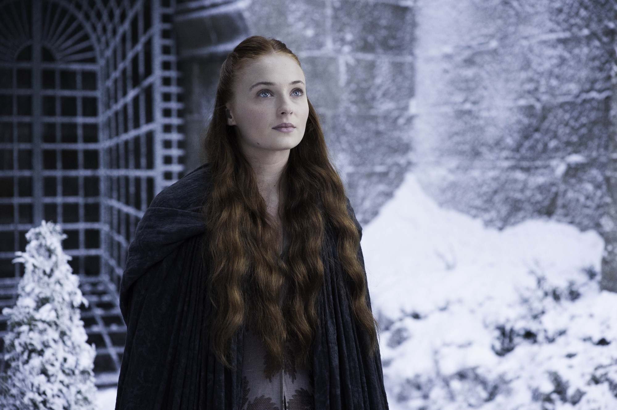 A Guerra dos Tronos”. Teoria explica como Sansa pode sobreviver e dominar Westeros