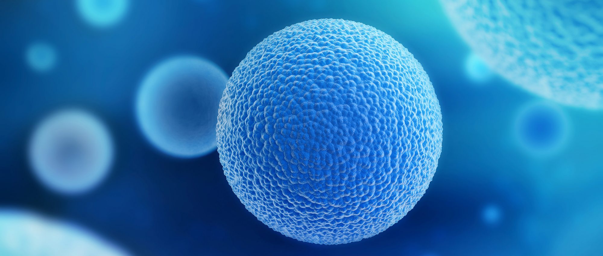 “Se eu preciso do meu sangue e o dou, porque é que não havia de doar óvulos?”