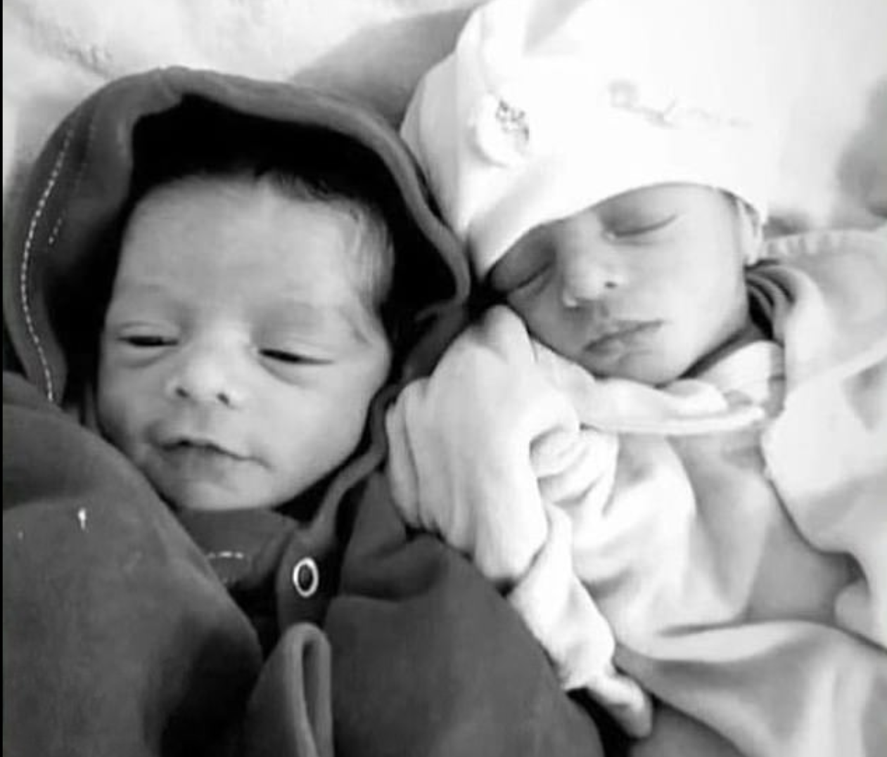 Cão ciumento mata gémeas recém-nascidas com apenas 26 dias no Brasil