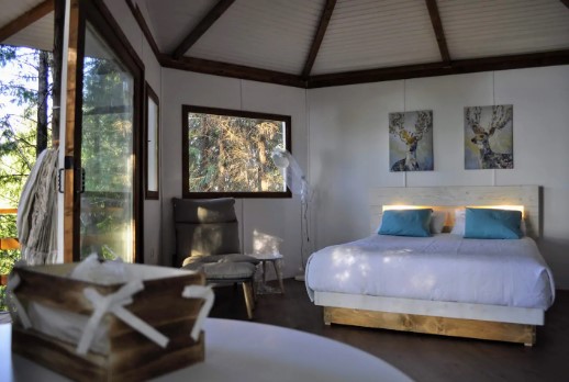 Dormir numa árvore e descer para a piscina. É assim este incrível quarto-árvore onde pode ficar no Gerês