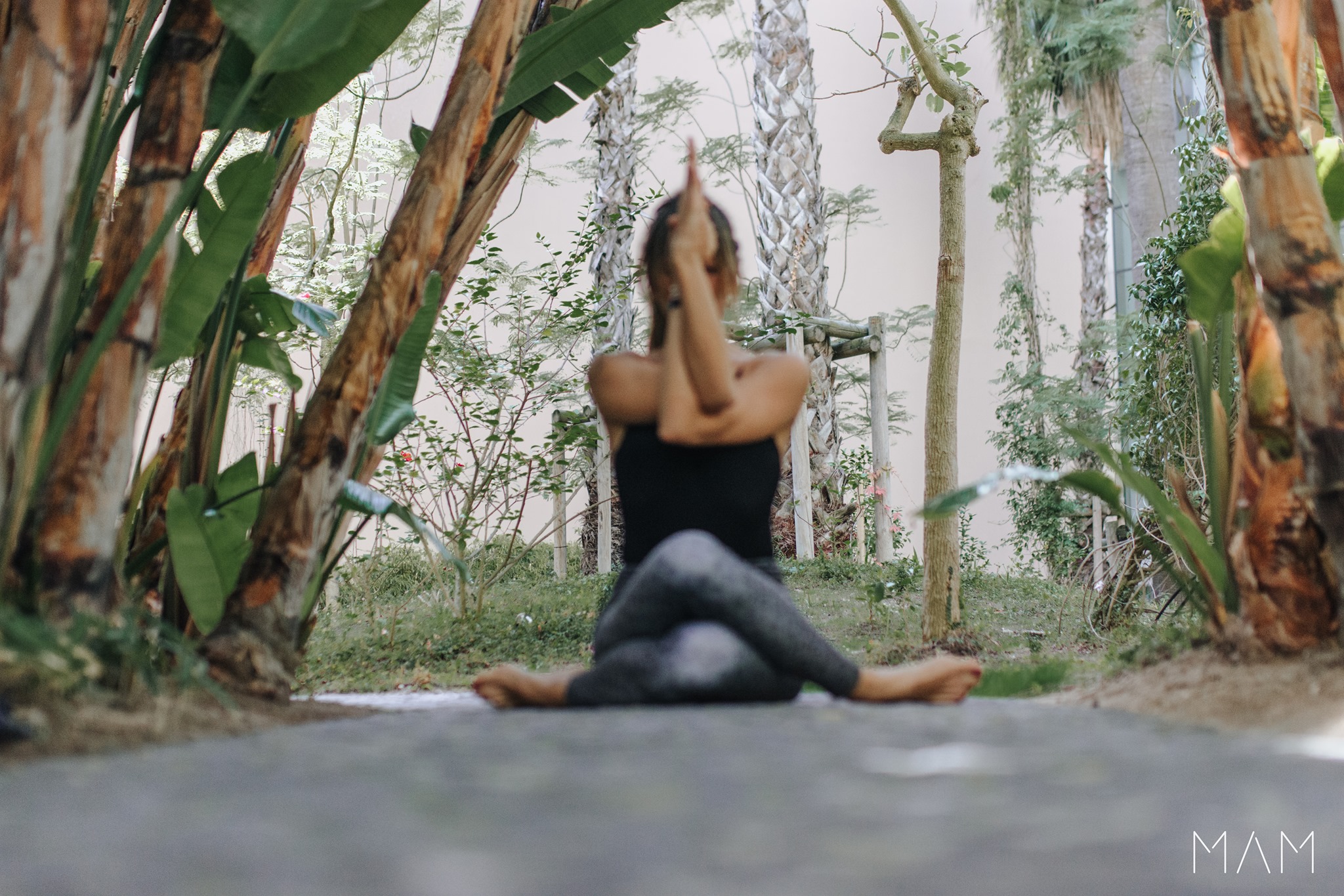 Gaya Immersions. Vem aí o mais completo site de ioga, meditação e vida saudável