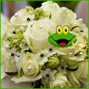 Shopping. O padrão floral voltou e escolhemos as 30 peças mais cool desta tendência