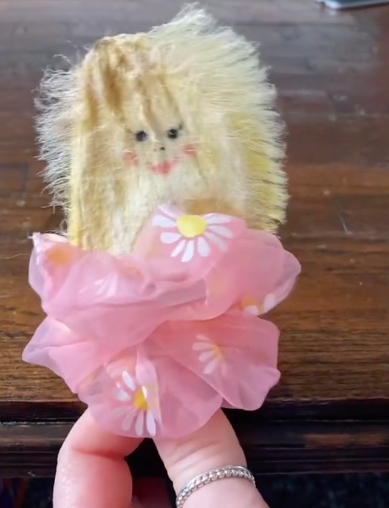 A trend mais bizarra do momento: jovens estão a cuidar de caroços de manga como se fossem animais de estimação