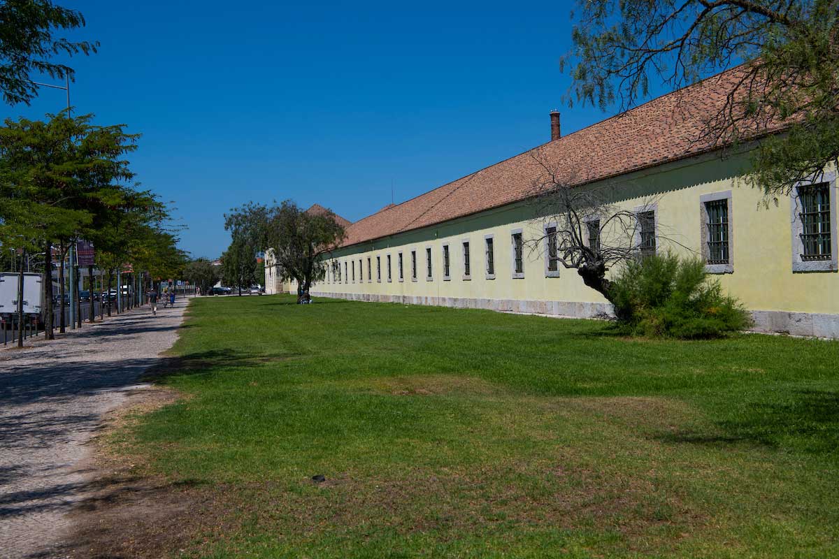 Ciclista morre atropelado em Lisboa e amigo assiste a tudo. Condutor encontra-se em fuga