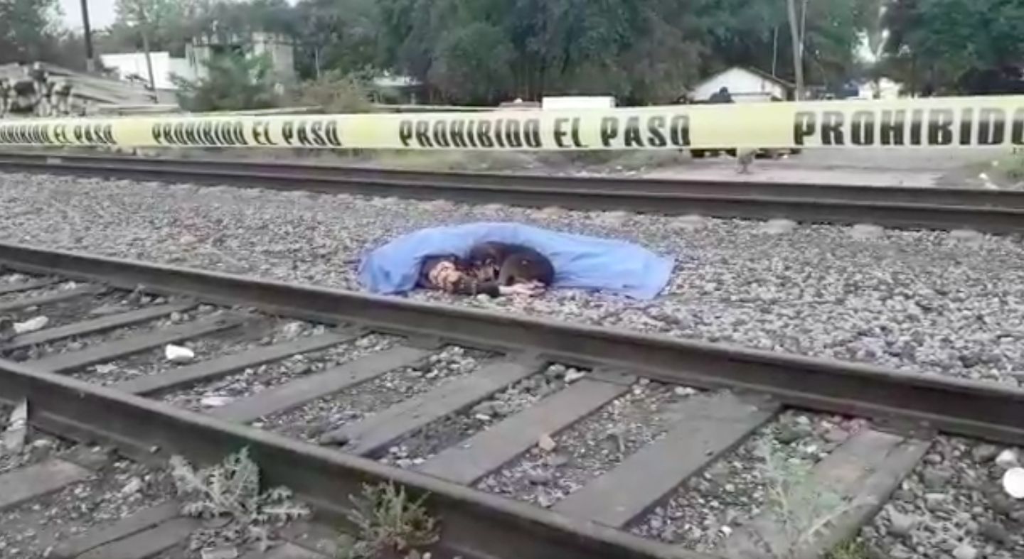 Cão fica deitado junto ao corpo do dono e morde polícia por forçá-lo a sair