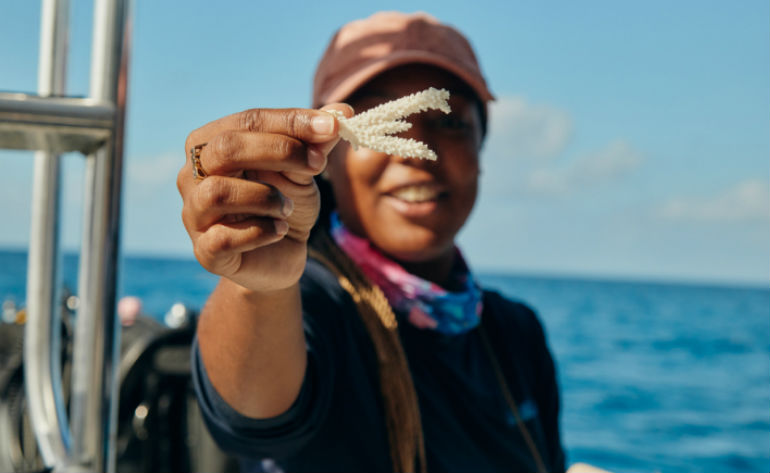 Quer ir para as Bahamas durante dois meses? A Airbnb está à procura de 5 candidatos