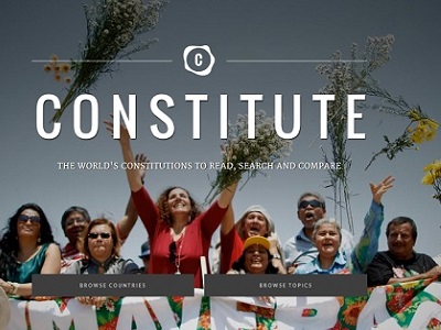 Mas afinal como é que funciona a língua dos gatos?