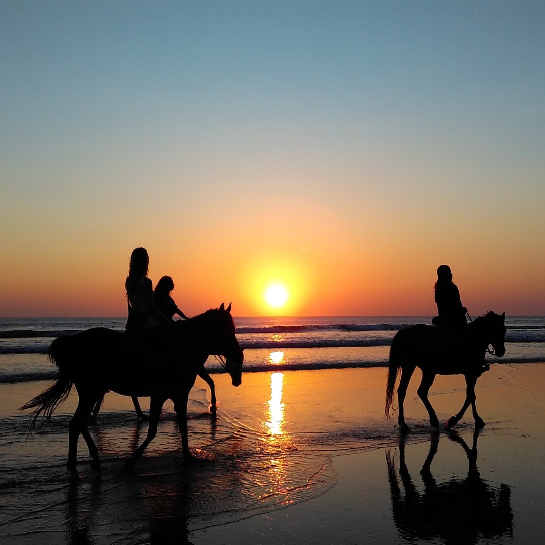 Gostava de andar a cavalo? Experimentar um passeio até à praia e no regresso descanse num resort