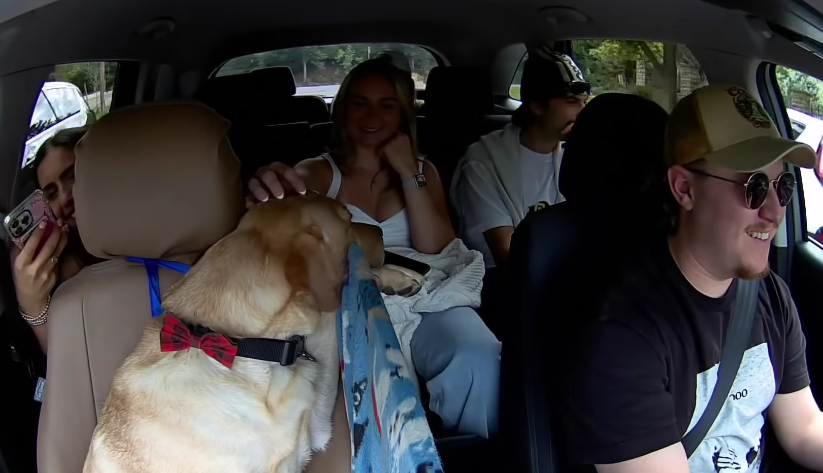 Alerta, fofura! Este “cão uber” é estrela nas redes sociais e vai nas viagens com os passageiros