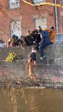 Grupo salva cão que caiu num canal de água de forma impressionante. Veja o vídeo