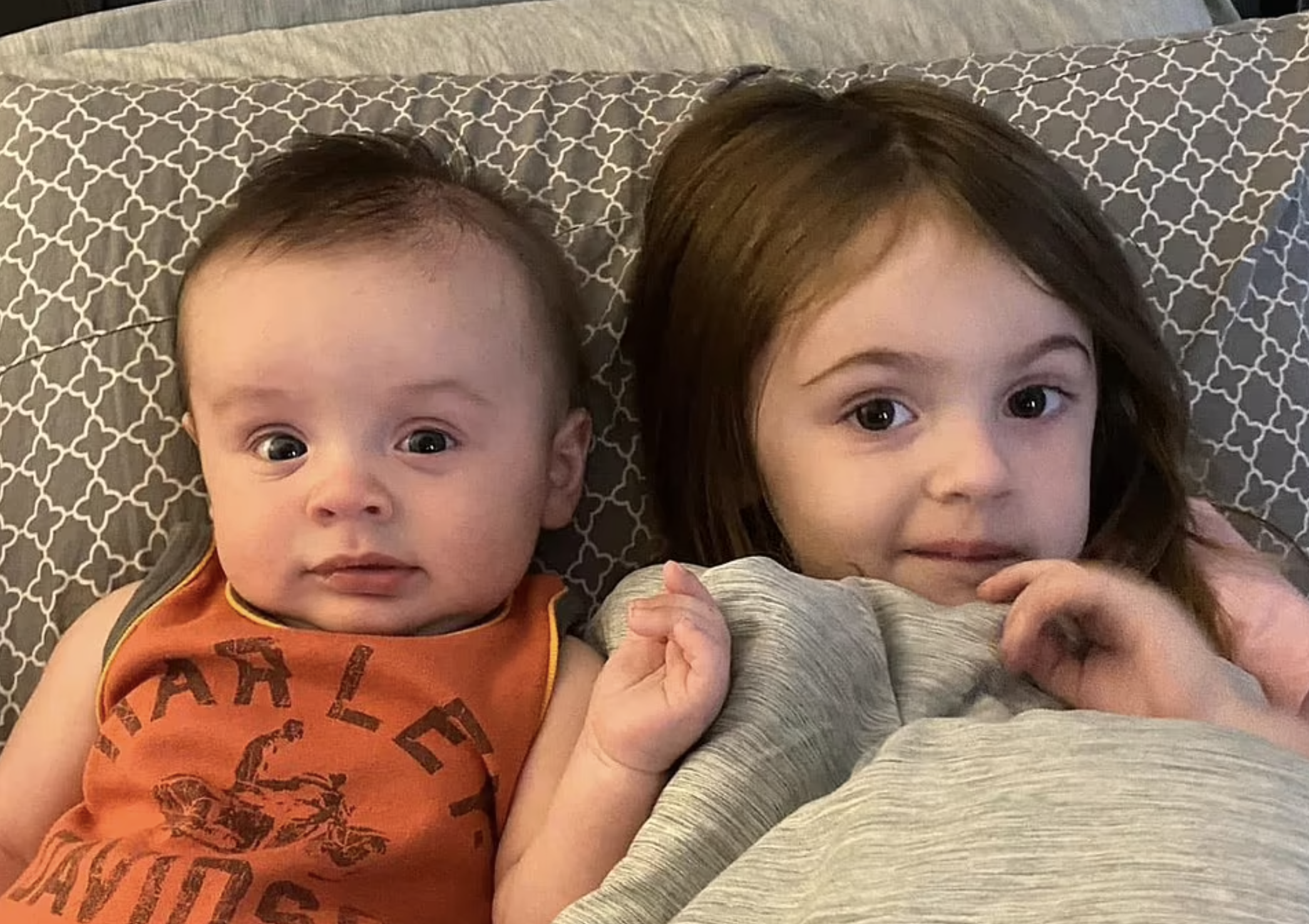 Cães pit bull matam bebé de 5 meses e irmã de dois anos. Mãe ficou gravemente ferida a tentar salvar os filhos