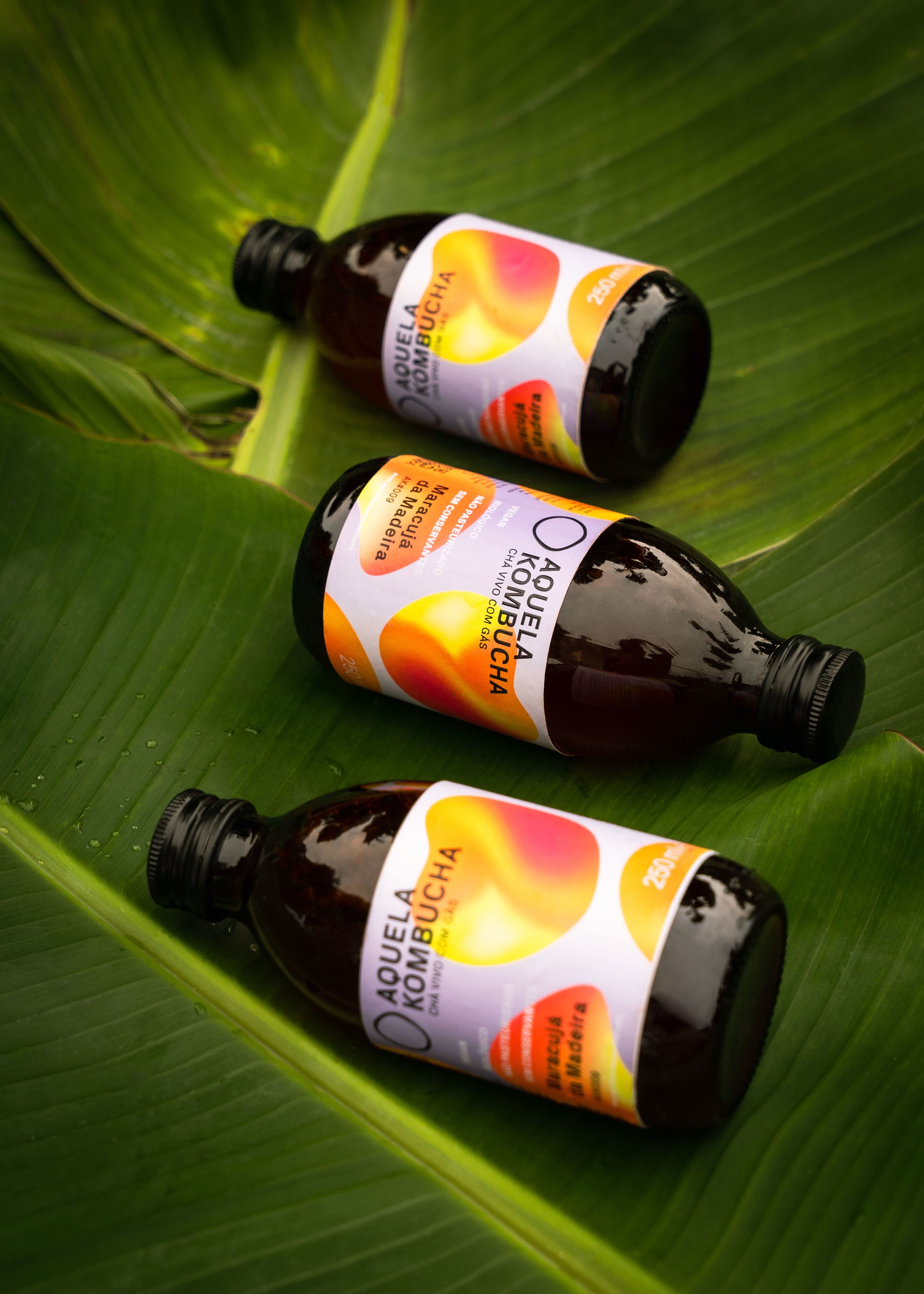 A poncha da Madeira ganhou bolhinhas e vai poder prová-la este sábado num evento especial