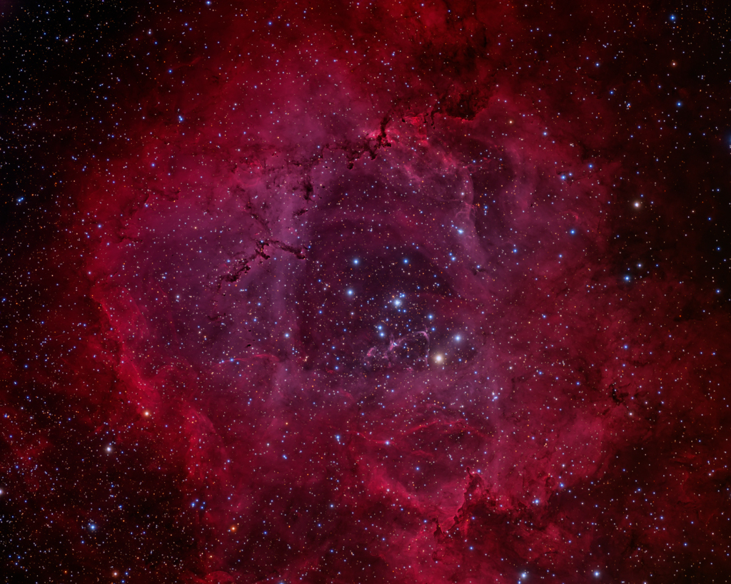 Já fez a wishlist de tecnologia para a Black Friday? 15 sugestões de gadgets práticos, úteis e inteligentes