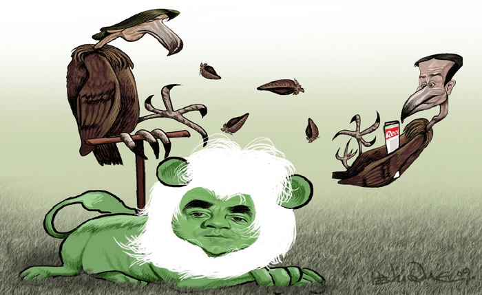 Abutres, poleiros e outras fábulas