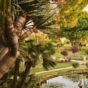 Don Carlos Marbella