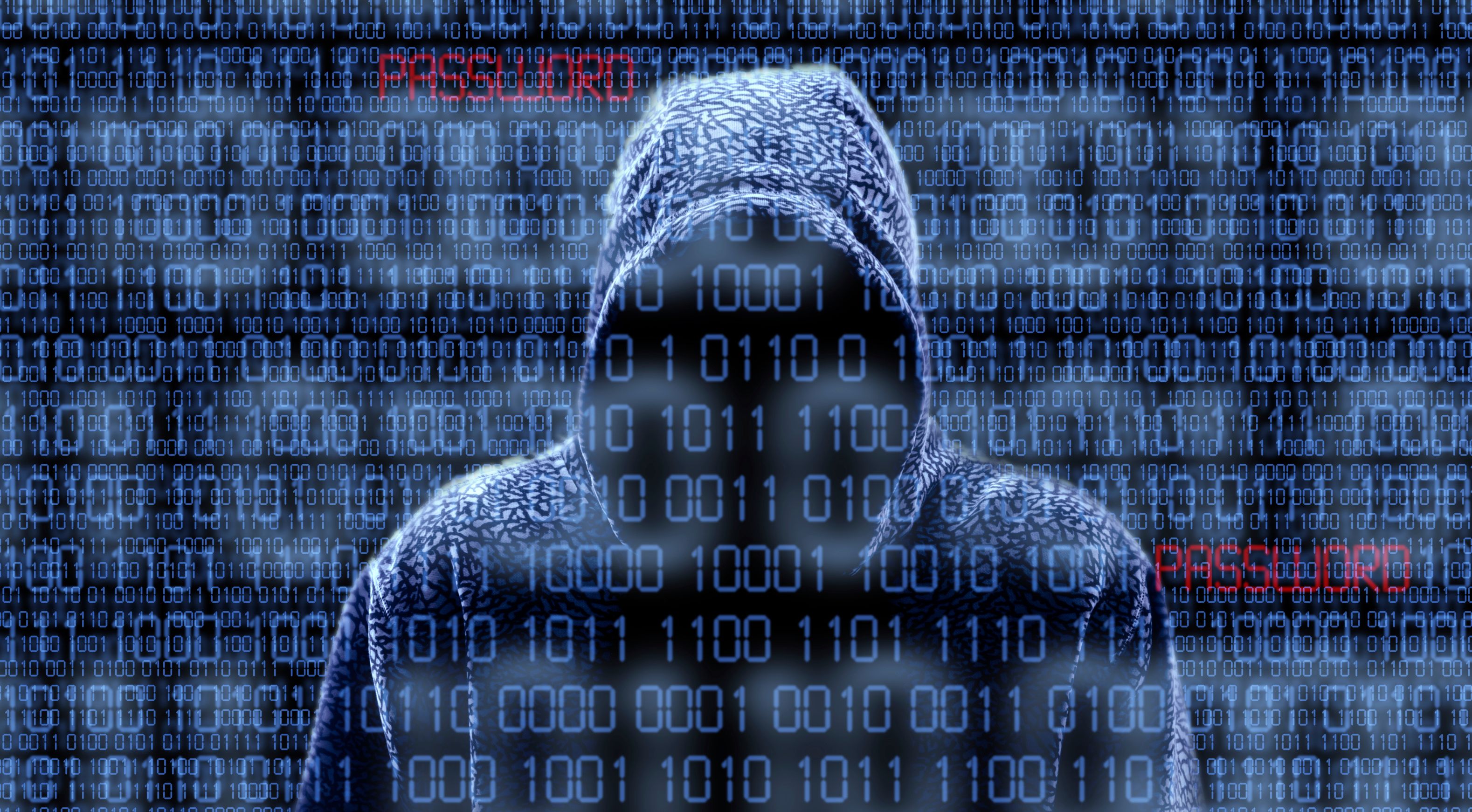 Base de dados de bugs foi atacada e Microsoft escondeu falha durante quatro anos