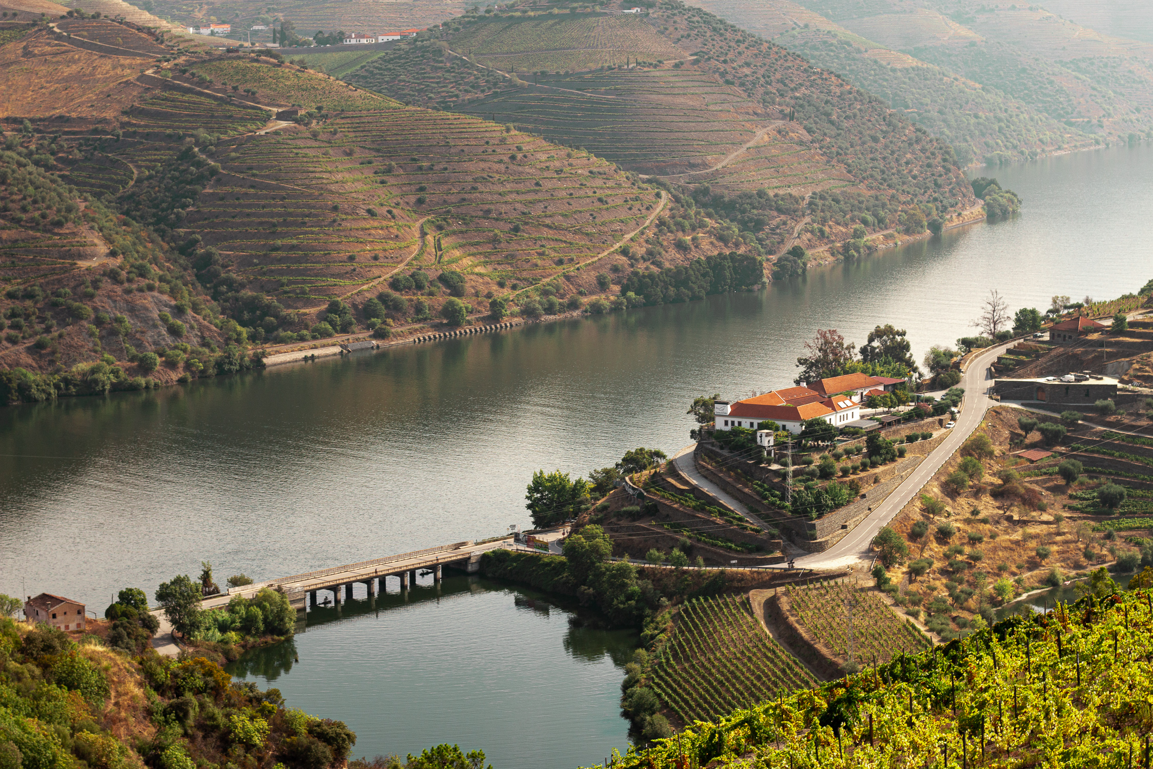 Crítica. O Vila Galé Douro Vineyards promete descanso e silêncio a mais de 500 metros de altura do rio