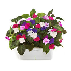 Como é viver sem o Facebook? Histórias de quem deixou a rede social para nunca mais voltar