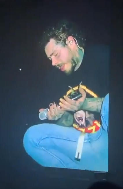 Post Malone responde aos rumores sobre o consumo de drogas