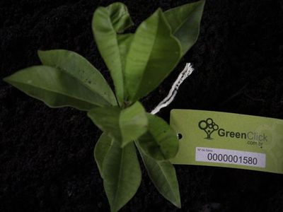 Demi Moore fala sobre a relação com Ashton Kutcher. “Eu quis ser algo que não era”