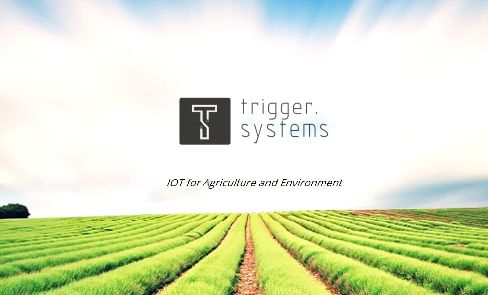 Jéssica Antunes do “Big Brother” já participou em novelas da TVI