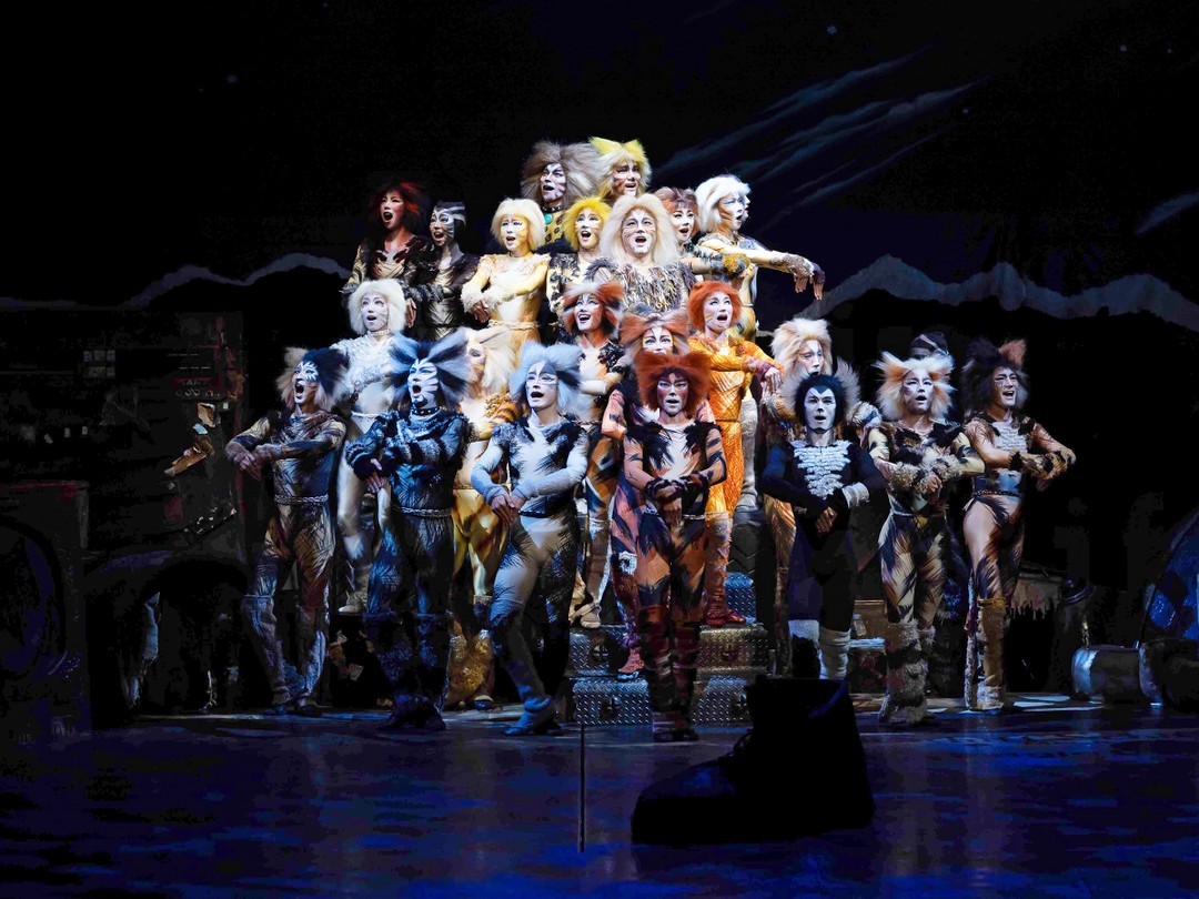 O musical mais visto do mundo regressa a Portugal. Quanto tem de pagar para ver “Cats”?