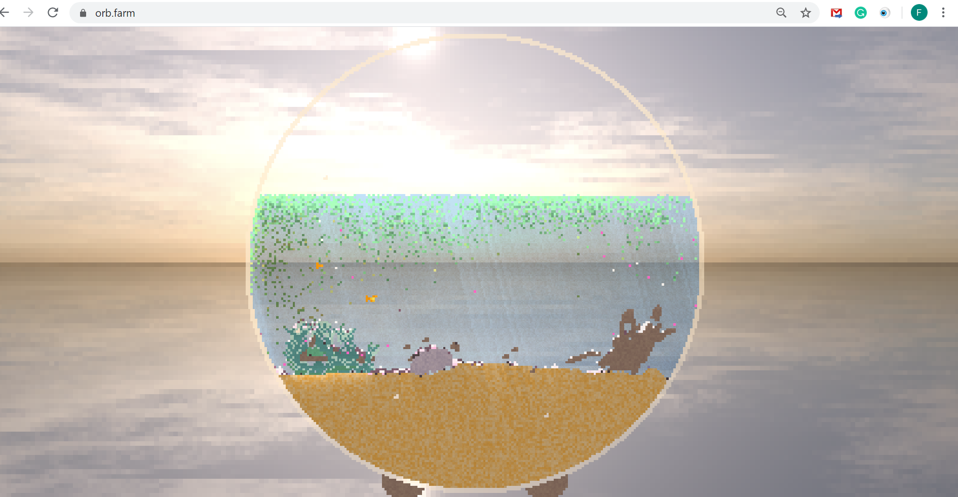 Crie um aquário no seu browser e veja o ecossistema evoluir