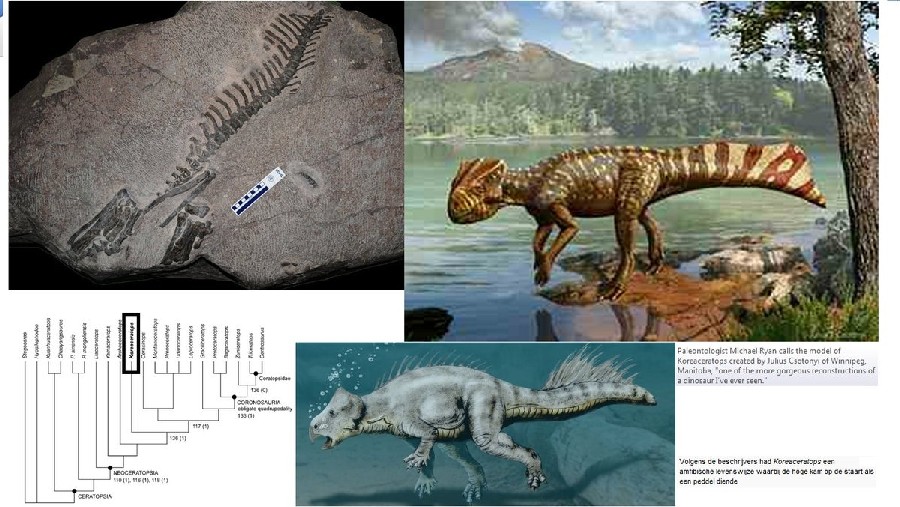 Louco por viagens, Nik matou o vício de uma forma hilariante: comida de avião em casa. Veja as fotos