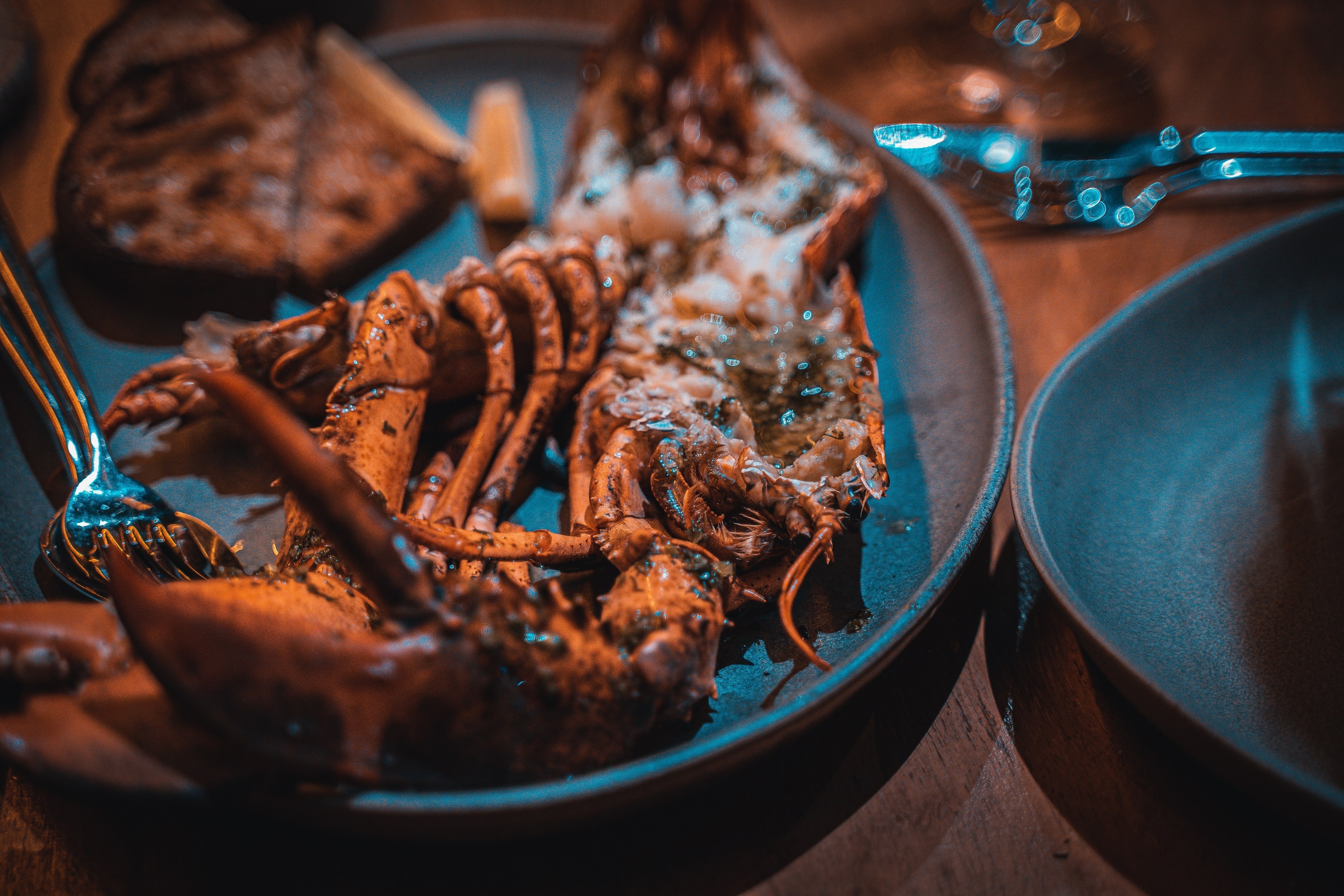 Nova esplanada, marisco e cocktails. Queremos passar o verão no FOGO de Alexandre Silva