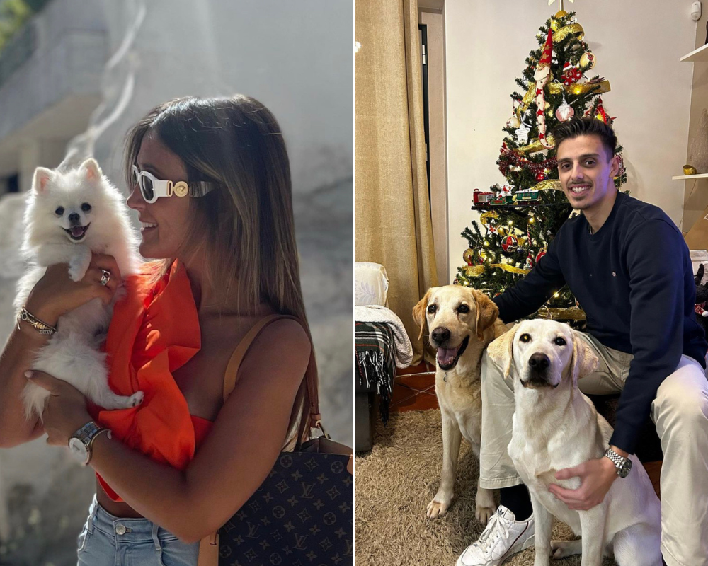 “O Triângulo”. Veja as fotografias amorosas dos animais de estimação dos concorrentes