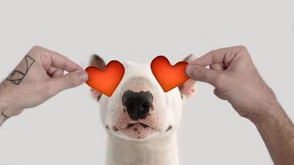 As situações mais absurdas que encontrámos em quartos para arrendar em Lisboa