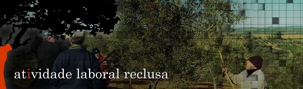 O novo rosto da Pantene é uma bebé (muito) cabeluda