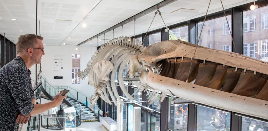 Museu britânico estreia experiência que põe visitantes e animais expostos a falar